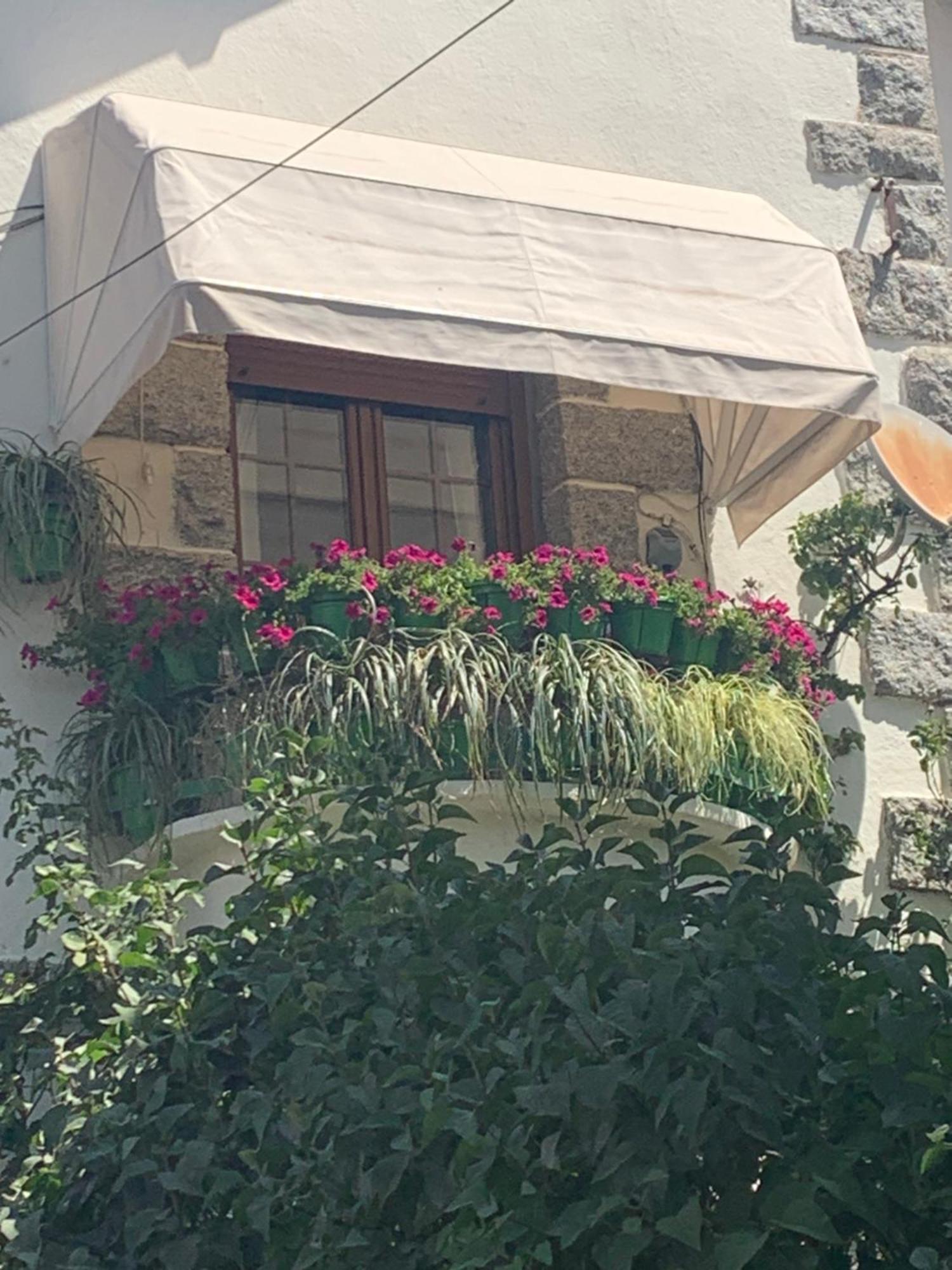 El Balcon De Araceli Apartment